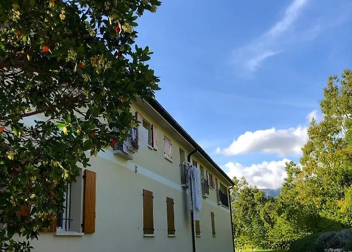 Beehouse - La Casa Delle Api *