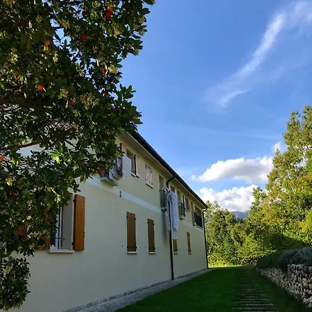 Beehouse - La Casa Delle Api *